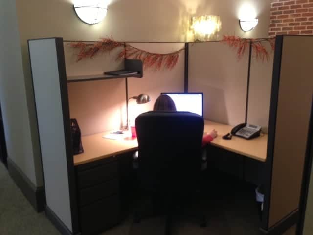 fall cubicle office space